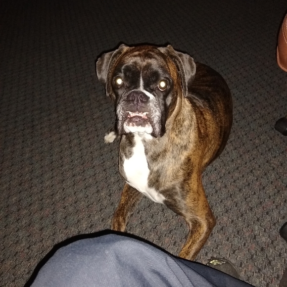 Meet your Posher, John - Picture 1 of 2